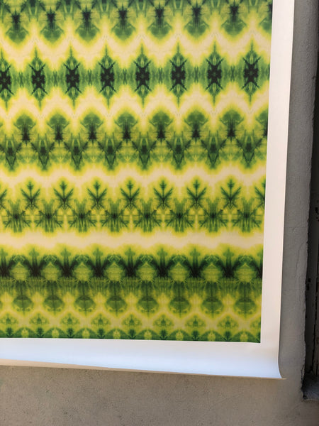 Shibori Wallpaper <br> Minor Envy